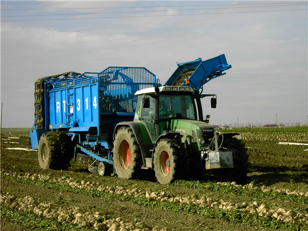 西班牙馬賽甜菜揀拾機(jī)裝車機(jī)